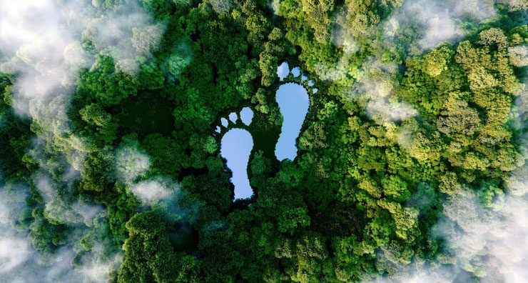 La Photographie Écologique